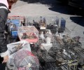 Π.Φ.Π.Ο.: Θα βάλουμε τέλος στο παράνομο εμπόριο ζώων στο Σχιστό (βίντεο)